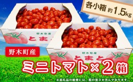 【ふるさと納税】T05 栃木県野木町産ミニトマト小箱（約1.5kg）×2セット