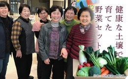 【ふるさと納税】西会津ミネラル野菜セット（大） F4D-0121