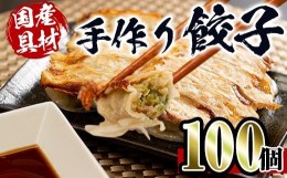 【ふるさと納税】i219 国産豚肉使用！手作り餃子100個セット(10個×10パック） 餃子 ぎょうざ 冷凍 おかず 豚肉 国産 手作り おつまみ 晩