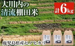 【ふるさと納税】i229 鹿児島県出水市産の大川内清流棚田米(6kg)甘み・粘りのある冷めても美味しいヒノヒカリ！ 米 白米 お米 6kg 国産 