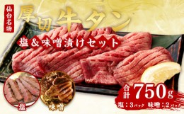 【ふるさと納税】肉厚牛タン焼肉セット（塩＆味噌・大）　【04203-0381】