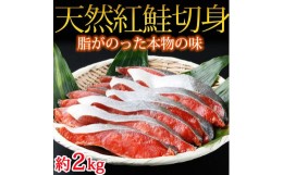 【ふるさと納税】和歌山魚鶴仕込の天然紅サケ切身約2kg