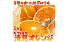 【ふるさと納税】とにかくジューシー清見オレンジ　5kg【2025年3月下旬以降発送】【先行予約】【UT53】