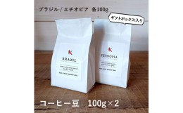 【ふるさと納税】【粉】那須コーヒーパルキ　自家焙煎コーヒー豆　100g×2種 ギフト コーヒー ドリップ ギフト 珈琲〔P-91〕