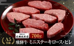 【ふるさと納税】A5 飛騨牛 ミニステーキ (ロース・ヒレ )700g 黒毛和牛 肉  飛騨高山 にも 熨斗 のし  e509