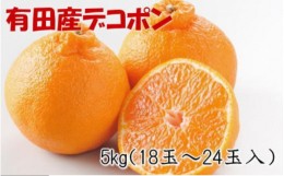 【ふるさと納税】【お味濃厚】紀州有田産のデコポン約5kg(18玉〜24玉入り・青秀以上)★2025年1月下旬頃より順次発送【TM26】