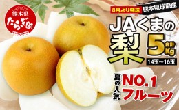 【ふるさと納税】【数量限定・先行受付】JA くまの 梨 5kg（14〜16玉）≪2024年8月上旬発送開始≫【 梨 なし ナシ 豊水梨 秋月梨 新興梨 