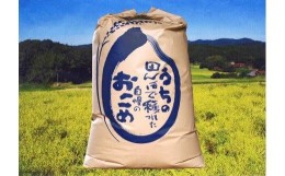 【ふるさと納税】宇部市小野『大山産米』　玄米30kg