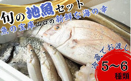 鮮魚 セットの通販｜au PAY マーケット