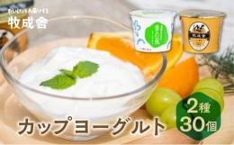 【ふるさと納税】＜牧成舎＞ 飛騨の牛乳屋のこだわりヨーグルト (30個セット)  飛騨高山  DF012