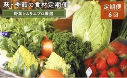 【ふるさと納税】[?5226-0032]【野菜ソムリエプロ厳選】萩・季節の食材定期便【6回コース】