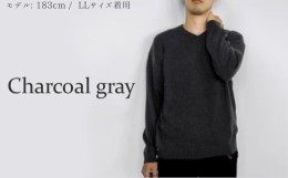 【ふるさと納税】【K8004】カシミヤ100％Vネックセーター(メンズ)　チャコールグレー・M