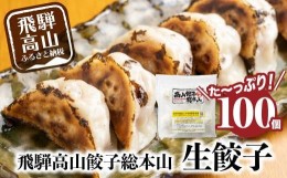 【ふるさと納税】飛騨高山餃子 餃子 100個入り ＜ 生冷凍餃子 ＞ ぎょうざ ギョーザ 冷凍 冷凍餃子 簡易包装  業務用 惣菜 ニラ 豚肉 大