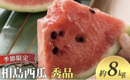 【ふるさと納税】[?5226-0399]スイカ 約8kg 萩・夏の銘品 相島 西瓜 秀品 大玉すいか フルーツ 果物 果物類 贈答品 ギフト