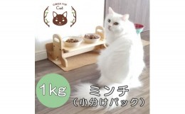 【ふるさと納税】森のジビエ for PET 鹿肉ミンチ(小分けパック) 1kg ペットフード 犬 猫 A-JK-A08A