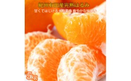 【ふるさと納税】果肉ぷりぷり!完熟はるみ　５ｋｇ【2025年2月上旬頃〜2025年2月下旬頃に順次発送】【UT22】