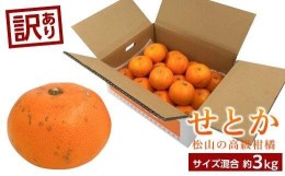 【ふるさと納税】【2月中旬から発送】 ＜訳あり＞ せとか　約3kg