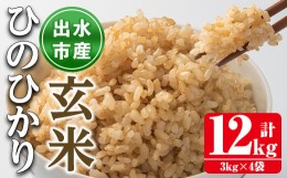 【ふるさと納税】i503 令和5年産！鹿児島県出水市産ひのひかり玄米＜3kg×4袋・計12kg＞ 米 玄米 お米 12kg 国産 ひのひかり おにぎり ご