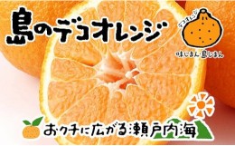 【ふるさと納税】不知火 しらぬい 8kg 24玉 ~ 52玉 ( M ~ 3L ) 特選品 期間限定 愛媛県産 みかん 蜜柑 オレンジ 柑橘 果物 フルーツ 家庭