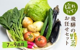 【ふるさと納税】【2024年予約受付】飛騨 野菜セット 7〜9点 セット 飛騨高山産 野菜  秋野菜 おまかせ お取り寄せ  新鮮 産地直送 飛騨