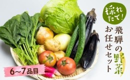 【ふるさと納税】【2024年予約受付】飛騨 野菜セット 6〜7点  飛騨高山産 野菜  秋野菜 おまかせ お取り寄せ 新鮮 産地直送 飛騨産 夏  