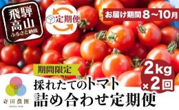 【ふるさと納税】【先行受付】定期便 採れたてトマト詰め合わせ 2kg×2回 | 8月中旬から順次発送予定 ミニトマト 採れたて野菜 新鮮野菜 