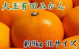 【ふるさと納税】【食べごたえ十分】和歌山有田みかん大玉約9kg(3Lサイズ・秀品）★2024年11月中旬頃より順次発送