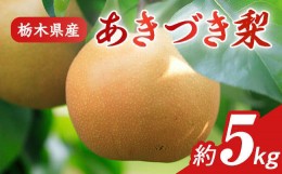 【ふるさと納税】N09 梨 なし あきづき 5kg フルーツ 先行予約 2024年 9月 中旬頃 栃木県