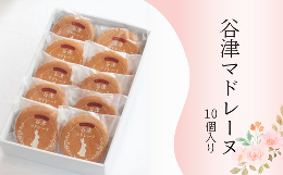 【ふるさと納税】習志野市の特産品認定！お店の定番 谷津マドレーヌ（10個/個包装）