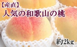 【ふるさと納税】【産直・人気の特産品】和歌山の桃　約2kg・秀選品★2024年度発送★