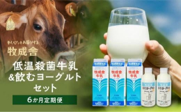 【ふるさと納税】【 6ヶ月 定期便 】飛騨の牛乳屋こだわり （牛乳 3本 飲むヨーグルト 2本 セット）×6回 低温殺菌 6回 無添加 牧成舎 飛