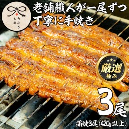 【ふるさと納税】【33646】鹿児島県産東串良町のうなぎの蒲焼(3尾・計450g以上・秘伝のタレ付き)うなぎ 高級 ウナギ 鰻 国産 蒲焼 蒲焼き