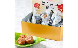 【ふるさと納税】紀州南高梅　はちみつ梅干（テトラピロー）12個入り【２箱】