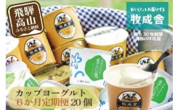 【ふるさと納税】【定期便６か月】飛騨のカップヨーグルト20個セット 毎月1回お届け 乳製品 ヨーグルト2種類 セット 詰合せ 牧成舎 TR375