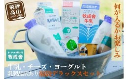 【ふるさと納税】乳製品 福袋　デラックスセット 乳製品 ヨーグルト 牛乳 種類おまかせ セット 詰合せ  牧成舎 TR3753