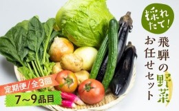 【ふるさと納税】先行予約 《定期便》3ヶ月 飛騨の野菜 7〜9点 野菜セット 3回 お届け 飛騨高山産 野菜  秋野菜 おまかせ お取り寄せ  産