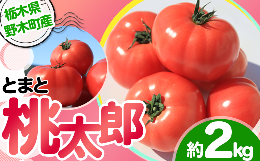 【ふるさと納税】3601栃木県野木町産トマト桃太郎(約2kg)