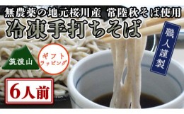 【ふるさと納税】【常陸秋そば使用 手打ちそば 】＜ ギフト ＞ 冷凍 手打ち そば （ 筑波山パッケージ ） 6人前 蕎麦 生そば 麺 食品 年