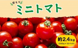 【ふるさと納税】トマト ミニトマト 大容量 2.4kg 小分け 200g × 12パック 甘い リコピン 栄養満点 お弁当 【 トマトサラダ おやつ トマ