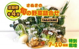 【ふるさと納税】定期便 4回 野菜 特別栽培 セット 詰め合わせ 栽培期間中農薬不使用 7~10種類 TAGATAME タガタメ 旬の採れたて お野菜 