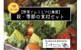 【ふるさと納税】[?5226-0601]【野菜ソムリエプロ厳選】萩・季節の食材セット【定期便お試し1回コース】