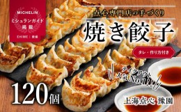 【ふるさと納税】008 点心専門店の手づくり焼き餃子120個 / 4.2kg （タレ・作り方付き） 餃子 ギョーザ 点心 中華料理