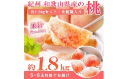 【ふるさと納税】紀州和歌山産の桃　約1．8kg　化粧箱入【2024年6月下旬より順次発送】【UT52】