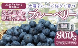 【ふるさと納税】ブルーベリー 800g ( 400g × 2パック ) 【2024年6月から発送開始】 国産 茨城県産 ベリー フルーツ 果物 くだもの 自家