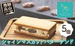 【ふるさと納税】【数量限定】 シャインマスカット レーズンバターサンド 5個 洋菓子 お菓子 贈答 内祝い 熨斗 のし対応可 本郷 TR4295