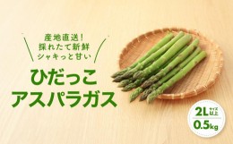 【ふるさと納税】【夏芽】 2Lサイズ以上 ひだっこアスパラガス 0.5kg アスパラ  野菜 やさい 産地直送 春  夏   採れたて グリーンアスパ