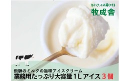 【ふるさと納税】飛騨の牛乳屋 牧成舎 ミルクの旨味たっぷり 業務用 １L アイスクリーム 3種 合計3Ｌ アイス 冷菓 お菓子 おかし おやつ 