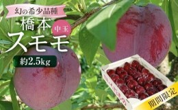 【ふるさと納税】【数量限定/先行予約】幻の希少品種 橋本スモモ 約2.5kg（35個前後入り）| 8月上旬〜順次発送 中玉 すもも プラム 果物 