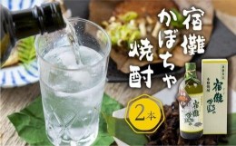 【ふるさと納税】宿儺かぼちゃ焼酎2本入り 南瓜焼酎 地酒 酒 珍しい 数量限定 TR4283