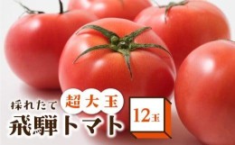 【ふるさと納税】【数量限定】希少！！超大玉飛騨トマト12玉 とまと 大玉トマト 野菜 産地直送 珍しい 数量限定 期間限定 宿儺 TR4285